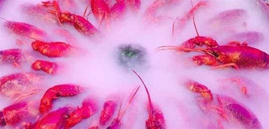 如何選擇山西高純氣體管道配管及附件材料？